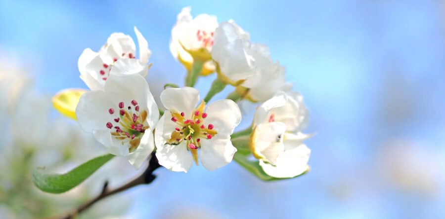 16 mei 2021 10.00 uur Ds. A. Groenenveld-Meindersma