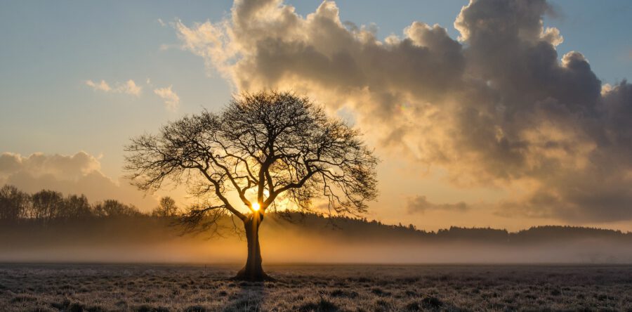 01-08-2021 10.00 uur Dhr. Mar van der Veer