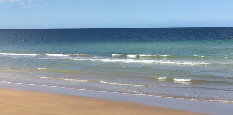 Zondag 14 maart 10:00 uur Ds. D. Groenendijk