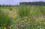 21-07-2019 10.00 uur Drs. A. Kornaat