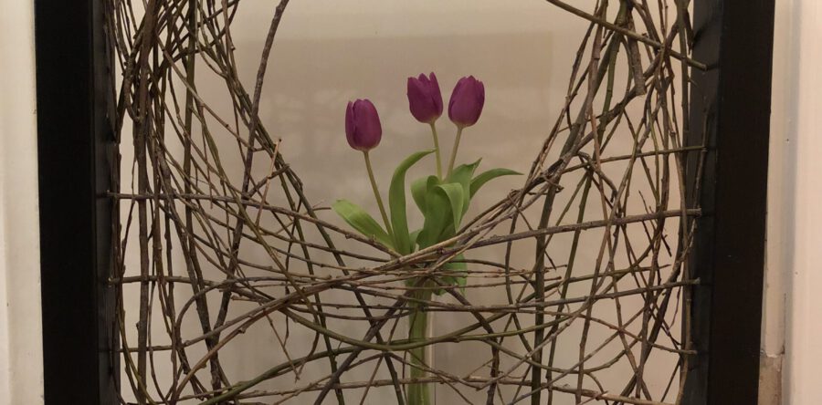 Schikking 40 dagentijd 1 maart 2020