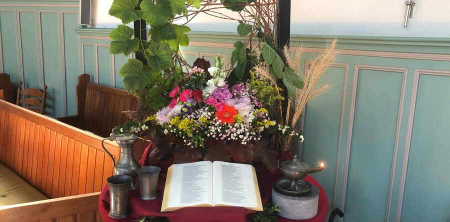 Schikking startzondag