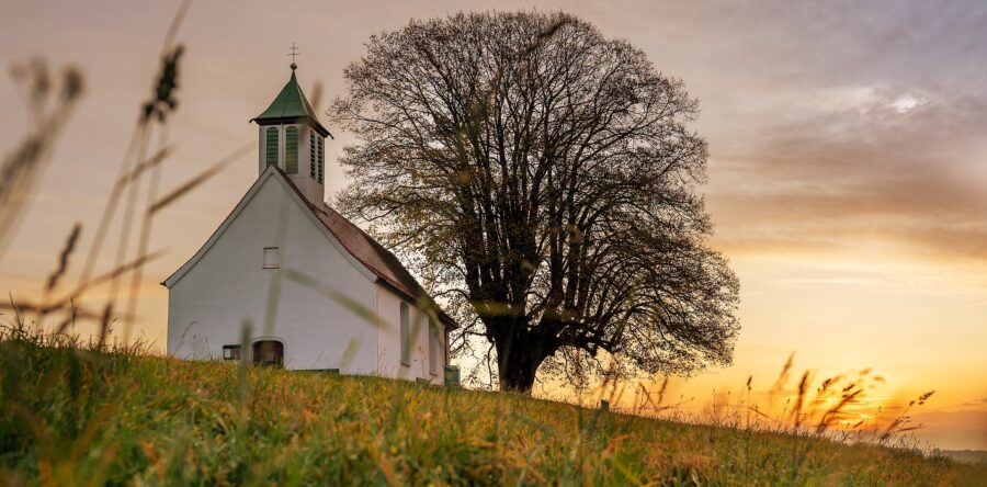 16-10 10:00 uur – Dr. M. van der Veer